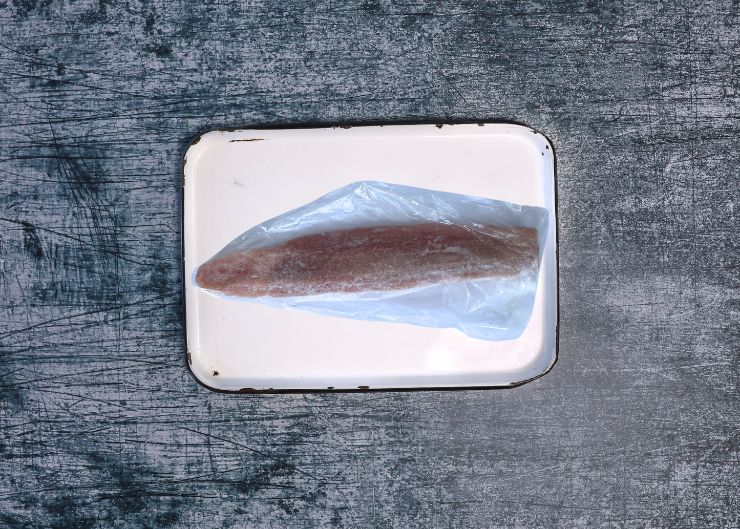 Frozen School Shark Fillets