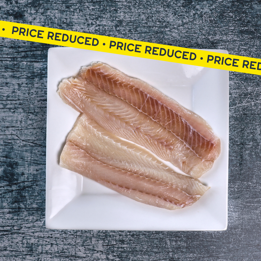 Frozen School Shark Fillets