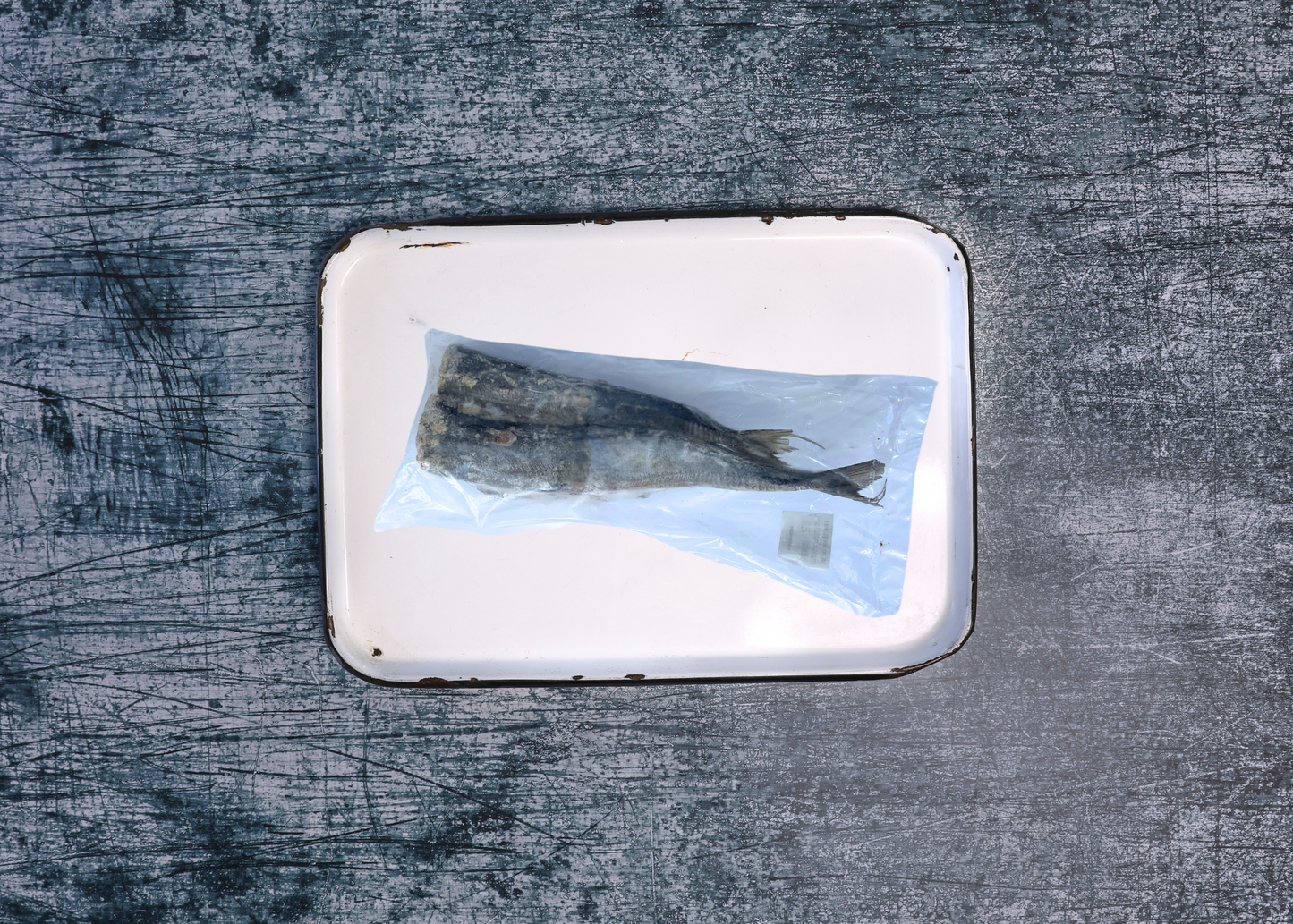 Frozen Jack Mackerel - Whole