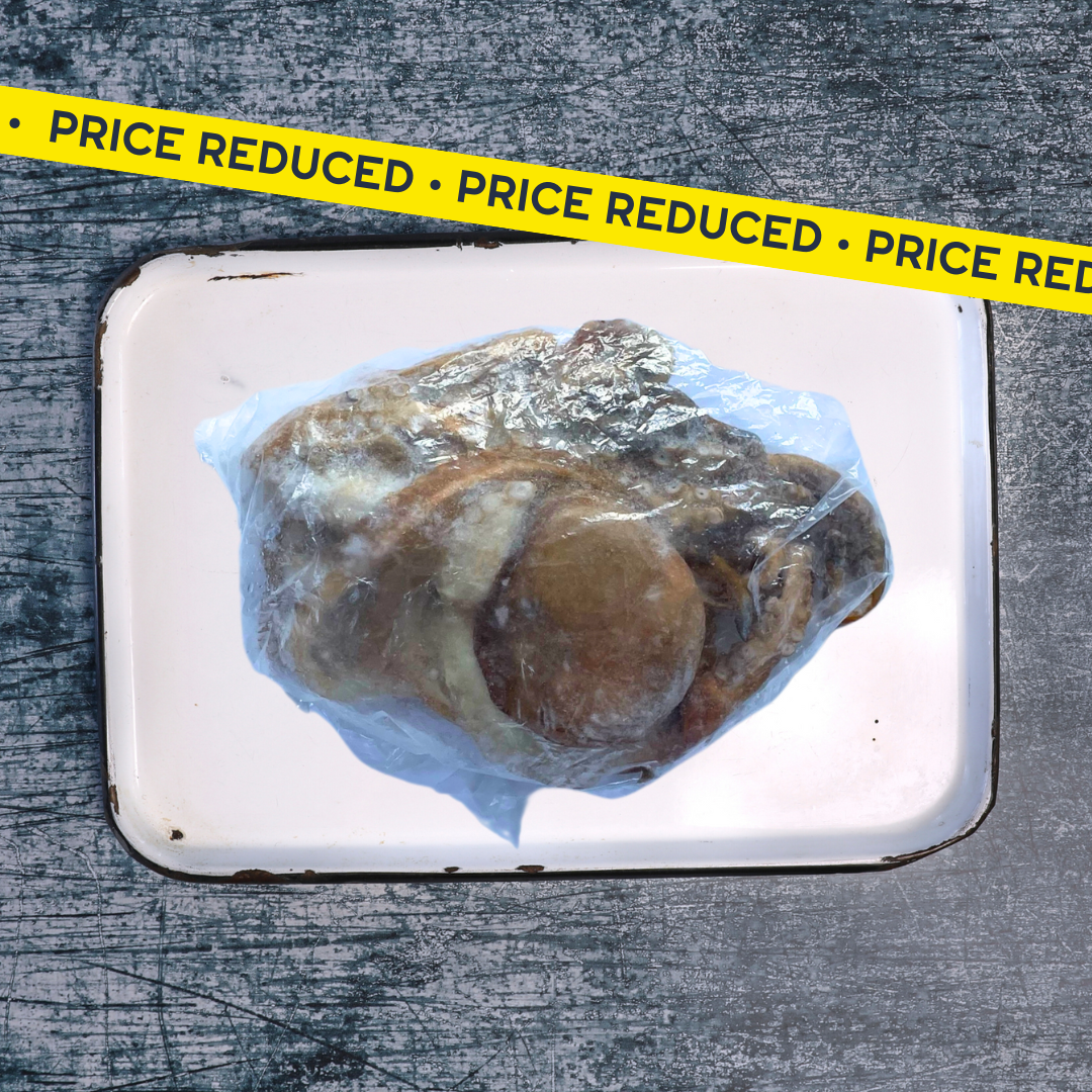 Frozen Whole Octopus