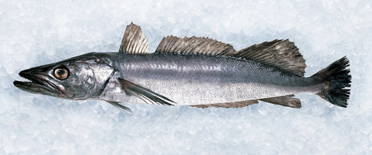 Frozen Hake - Dressed