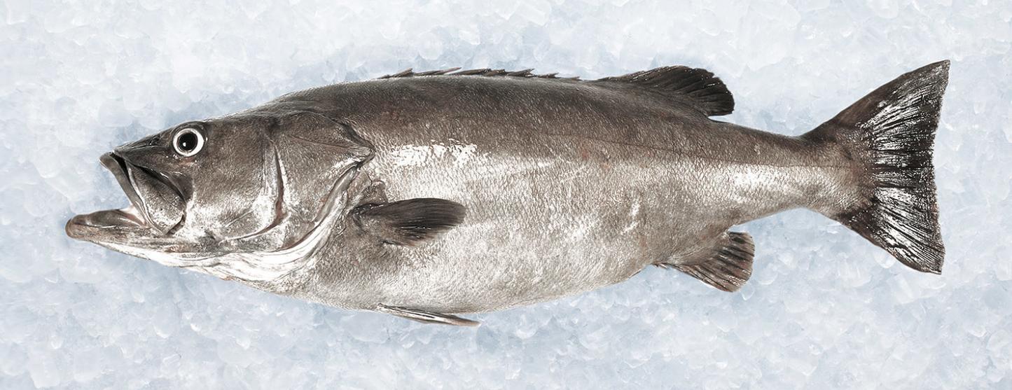 Frozen Hapuka - Dressed