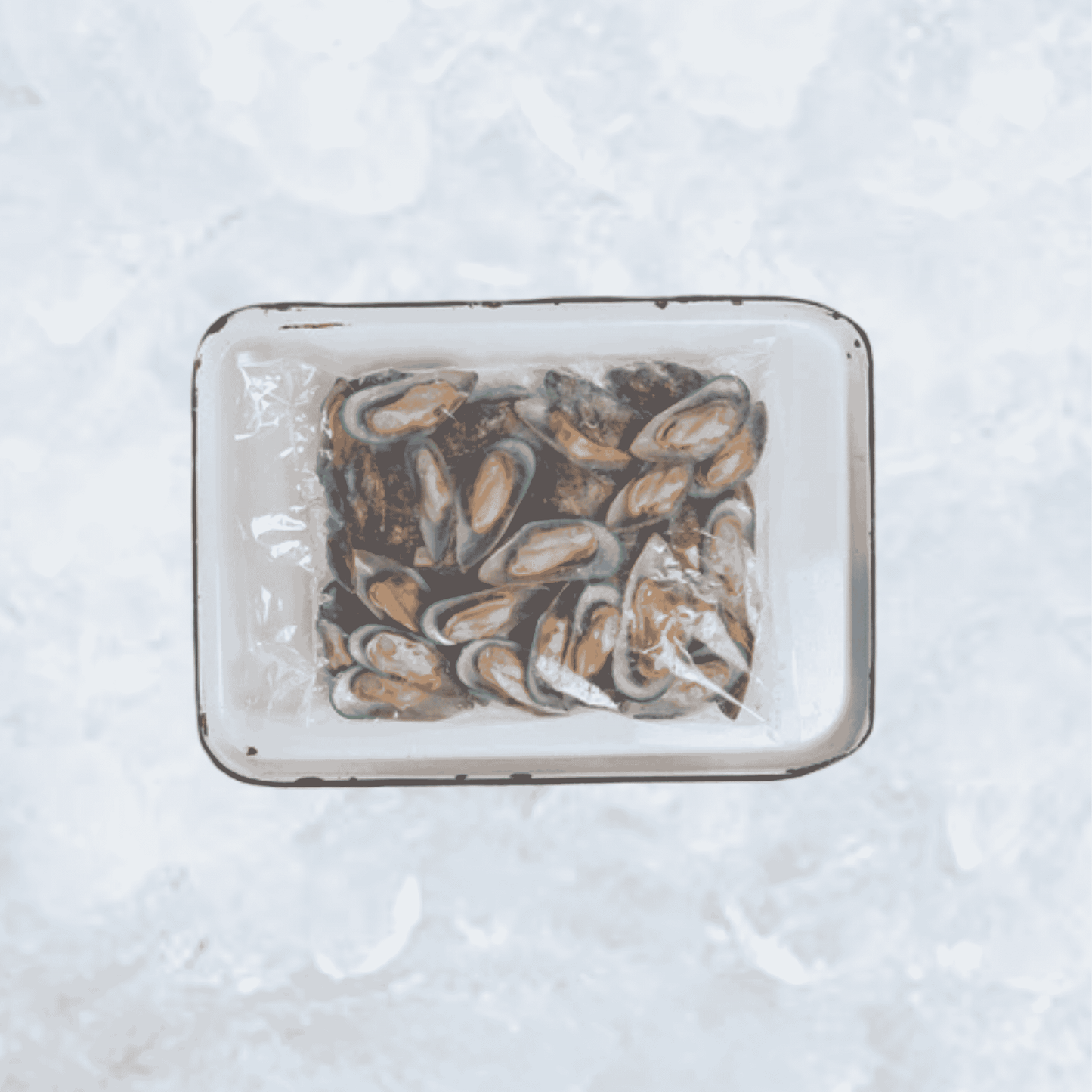 Frozen Half Shell Greenshell™ Mussels - Ungraded