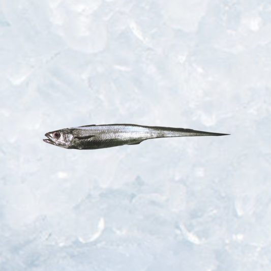 Frozen Hoki - Dressed