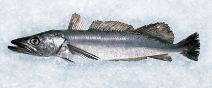 Frozen Hake - Dressed