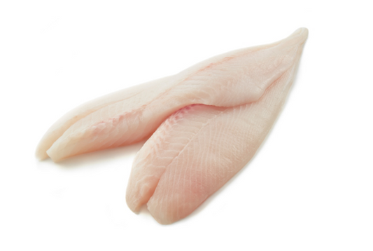 Frozen Smooth Dory Fillet