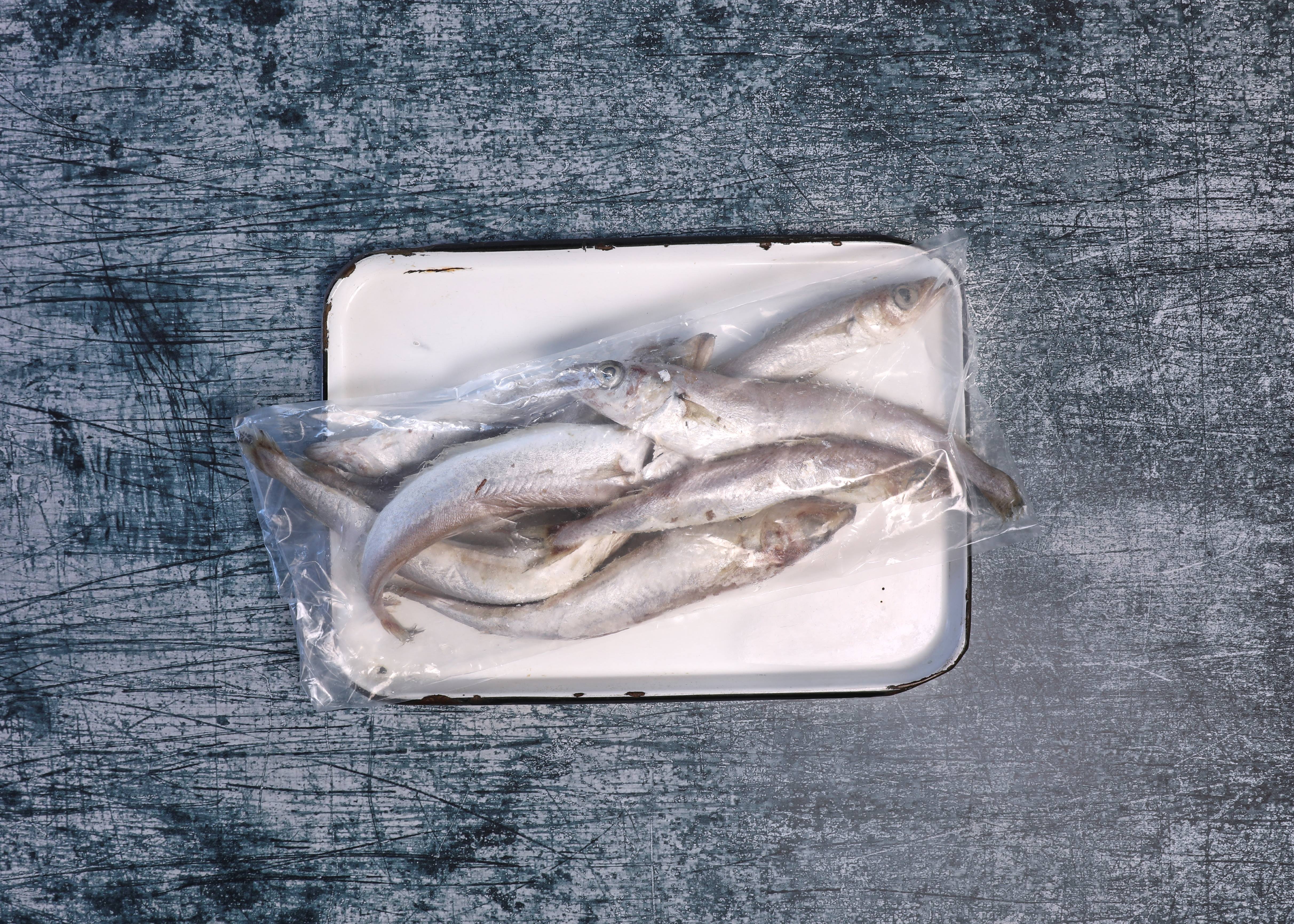 Frozen Whole Southern Blue Whiting Sanford And Sons Frozen Frozen Whole Southern Blue Whiting Sanford And Sons Frozen