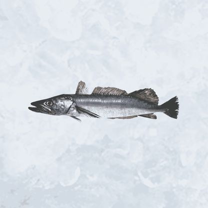 Frozen Hake - Dressed