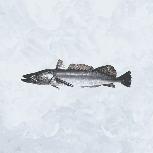 Frozen Hake - Dressed